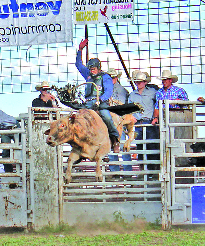 Rodeo High Bull_FCR's image
